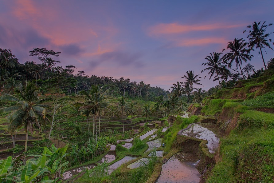 Bali_from_Helmidia_Ranford_11-photoaidcom-darken